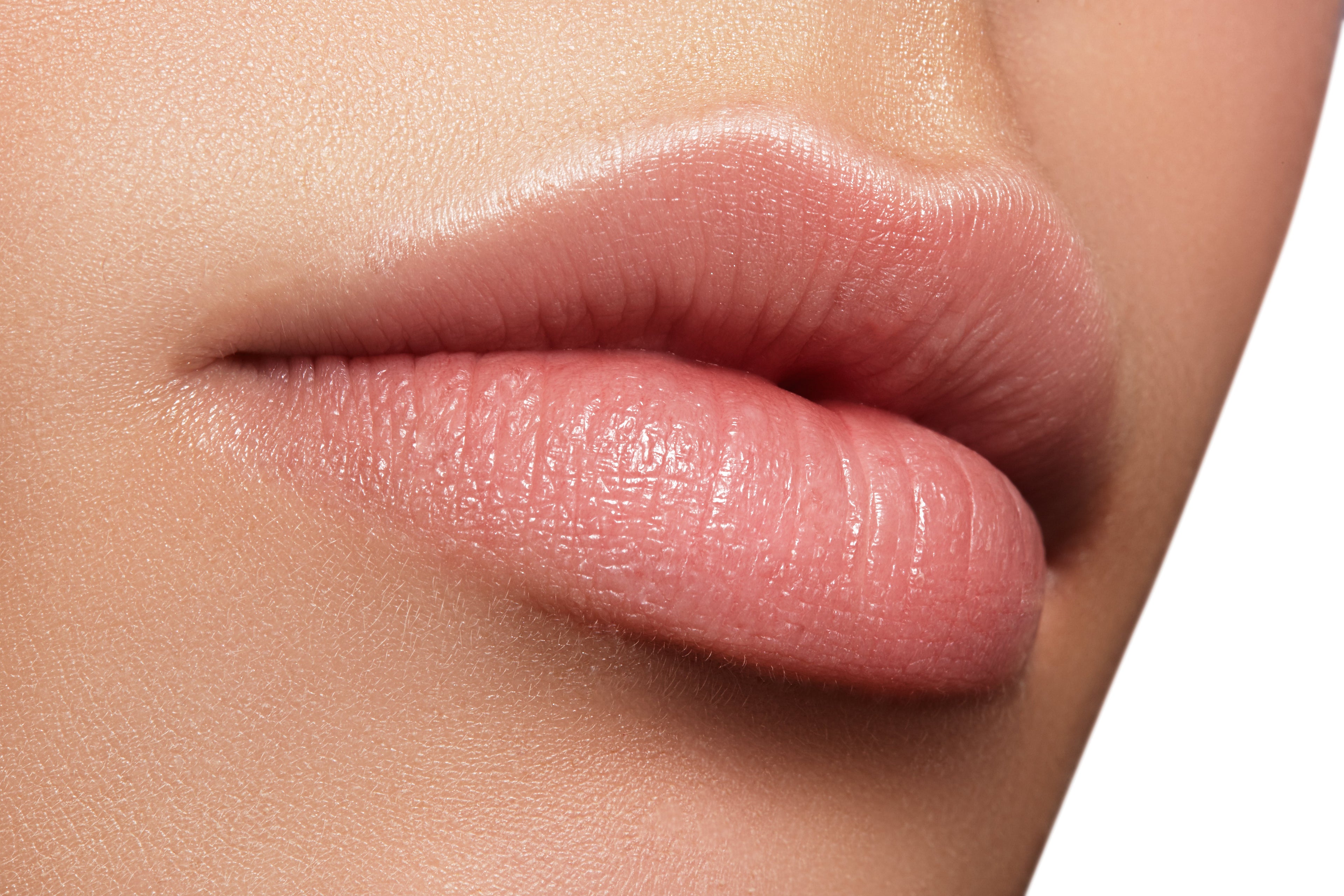 Lip Care Collection